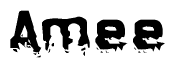 The image contains the word Amee in a stylized font with a static looking effect at the bottom of the words