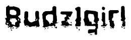 The image contains the word Budz1girl in a stylized font with a static looking effect at the bottom of the words
