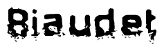 The image contains the word Biaudet in a stylized font with a static looking effect at the bottom of the words