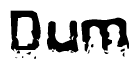 The image contains the word Dum in a stylized font with a static looking effect at the bottom of the words