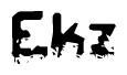 This nametag says Ekz, and has a static looking effect at the bottom of the words. The words are in a stylized font.