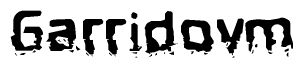 The image contains the word Garridovm in a stylized font with a static looking effect at the bottom of the words