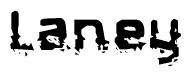 The image contains the word Laney in a stylized font with a static looking effect at the bottom of the words