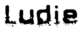 The image contains the word Ludie in a stylized font with a static looking effect at the bottom of the words