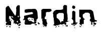   The image contains the word Nardin in a stylized font with a static looking effect at the bottom of the words 
