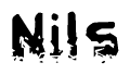 The image contains the word Nils in a stylized font with a static looking effect at the bottom of the words