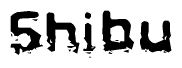 This nametag says Shibu, and has a static looking effect at the bottom of the words. The words are in a stylized font.