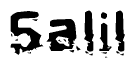 The image contains the word Salil in a stylized font with a static looking effect at the bottom of the words