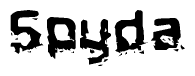 The image contains the word Spyda in a stylized font with a static looking effect at the bottom of the words