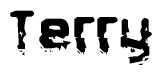 The image contains the word Terry in a stylized font with a static looking effect at the bottom of the words