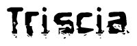The image contains the word Triscia in a stylized font with a static looking effect at the bottom of the words