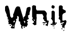 This nametag says Whit, and has a static looking effect at the bottom of the words. The words are in a stylized font.