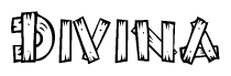 The image contains the name Divina written in a decorative, stylized font with a hand-drawn appearance. The lines are made up of what appears to be planks of wood, which are nailed together