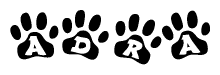 Animal Paw Prints with Adra Lettering