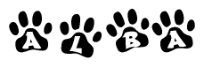 Animal Paw Prints with Alba Lettering