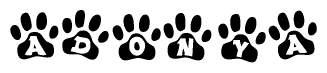 Animal Paw Prints with Adonya Lettering