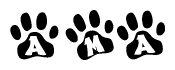 The image shows a row of animal paw prints, each containing a letter. The letters spell out the word Ama within the paw prints.