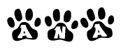 The image shows a series of animal paw prints arranged horizontally. Within each paw print, there's a letter; together they spell Ana