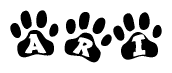 The image shows a series of animal paw prints arranged horizontally. Within each paw print, there's a letter; together they spell Ari