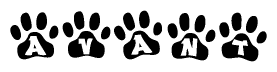 The image shows a series of animal paw prints arranged in a horizontal line. Each paw print contains a letter, and together they spell out the word Avant.