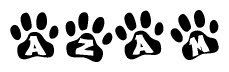 The image shows a row of animal paw prints, each containing a letter. The letters spell out the word Azam within the paw prints.