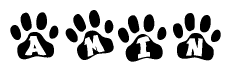 The image shows a series of animal paw prints arranged in a horizontal line. Each paw print contains a letter, and together they spell out the word Amin.