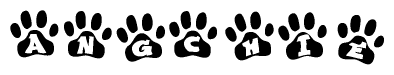 The image shows a series of animal paw prints arranged in a horizontal line. Each paw print contains a letter, and together they spell out the word Angchie.