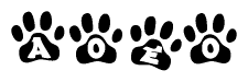   The image shows a series of animal paw prints arranged in a horizontal line. Each paw print contains a letter, and together they spell out the word Aoeo. 