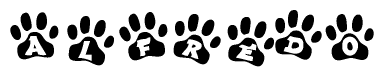 The image shows a row of animal paw prints, each containing a letter. The letters spell out the word Alfredo within the paw prints.