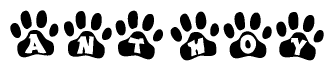 The image shows a series of animal paw prints arranged horizontally. Within each paw print, there's a letter; together they spell Anthoy