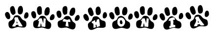 The image shows a series of animal paw prints arranged in a horizontal line. Each paw print contains a letter, and together they spell out the word Anthonia.