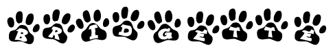 The image shows a series of animal paw prints arranged in a horizontal line. Each paw print contains a letter, and together they spell out the word Bridgette.