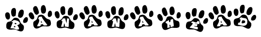 The image shows a series of animal paw prints arranged horizontally. Within each paw print, there's a letter; together they spell Bananahead