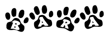 The image shows a series of animal paw prints arranged in a horizontal line. Each paw print contains a letter, and together they spell out the word Bara.