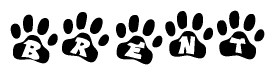 The image shows a series of animal paw prints arranged in a horizontal line. Each paw print contains a letter, and together they spell out the word Brent.