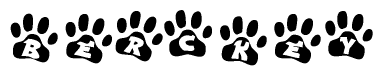 The image shows a series of animal paw prints arranged in a horizontal line. Each paw print contains a letter, and together they spell out the word Berckey.
