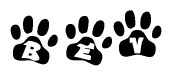 The image shows a series of animal paw prints arranged in a horizontal line. Each paw print contains a letter, and together they spell out the word Bev.