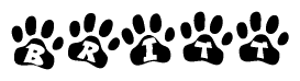 The image shows a series of animal paw prints arranged in a horizontal line. Each paw print contains a letter, and together they spell out the word Britt.