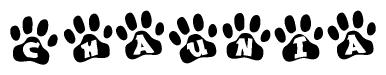 The image shows a series of animal paw prints arranged horizontally. Within each paw print, there's a letter; together they spell Chaunia