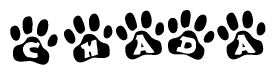 The image shows a series of animal paw prints arranged horizontally. Within each paw print, there's a letter; together they spell Chada