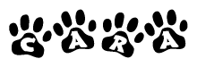 The image shows a row of animal paw prints, each containing a letter. The letters spell out the word Cara within the paw prints.