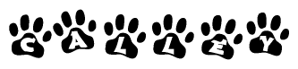 The image shows a series of animal paw prints arranged horizontally. Within each paw print, there's a letter; together they spell Calley