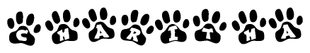 The image shows a series of animal paw prints arranged horizontally. Within each paw print, there's a letter; together they spell Charitha