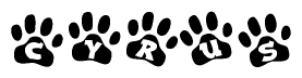 The image shows a series of animal paw prints arranged in a horizontal line. Each paw print contains a letter, and together they spell out the word Cyrus.