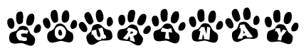 The image shows a series of animal paw prints arranged in a horizontal line. Each paw print contains a letter, and together they spell out the word Courtnay.
