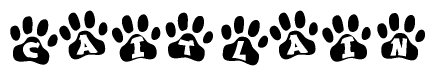 The image shows a series of animal paw prints arranged in a horizontal line. Each paw print contains a letter, and together they spell out the word Caitlain.