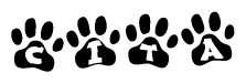 The image shows a series of animal paw prints arranged horizontally. Within each paw print, there's a letter; together they spell Cita