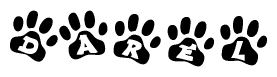 The image shows a series of animal paw prints arranged in a horizontal line. Each paw print contains a letter, and together they spell out the word Darel.