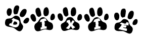 The image shows a series of animal paw prints arranged horizontally. Within each paw print, there's a letter; together they spell Dixie