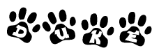 The image shows a series of animal paw prints arranged in a horizontal line. Each paw print contains a letter, and together they spell out the word Duke.